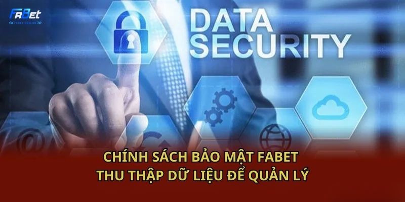 Chính sách bảo mật Fabet thu thập dữ liệu để quản lý