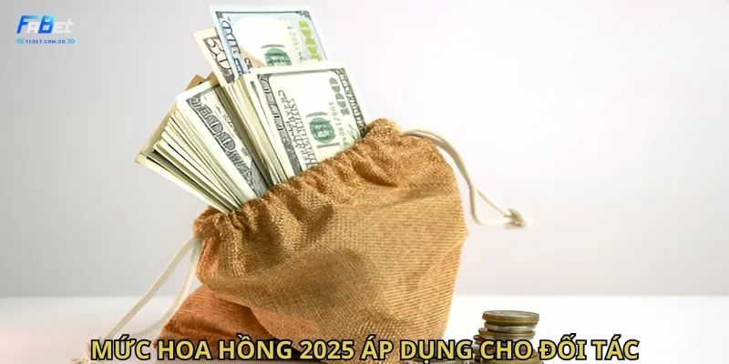 Mức hoa hồng 2025 áp dụng cho đối tác