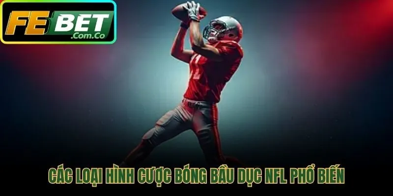 Làm quen các loại hình cược NFL phổ biến nhất