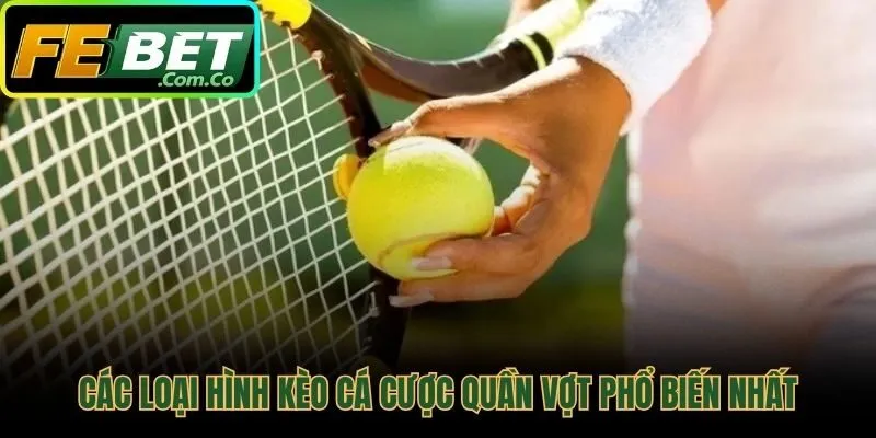 Các định dạng đặt cược tennis cơ bản cho người mới bắt đầu