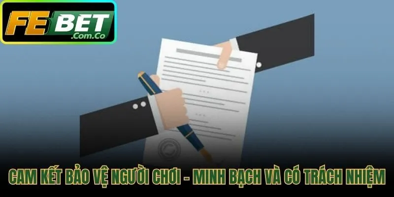 Giấy phép hoạt động đảm bảo môi trường chơi an toàn