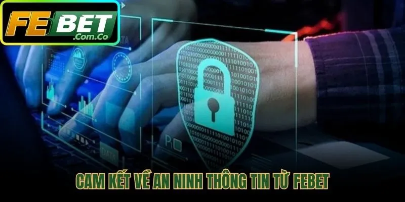 Cam kết hàng đầu về quyền riêng tư và an toàn dữ liệu