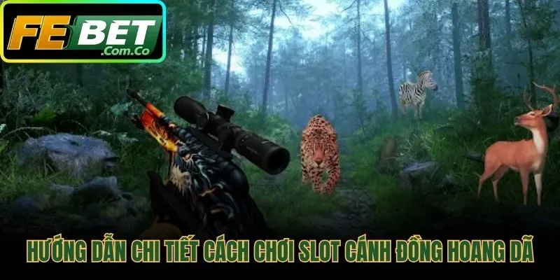Hướng dẫn chi tiết cách chơi slot cánh đồng hoang dã