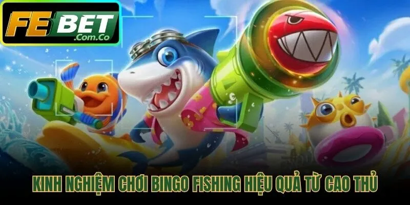 Chiến thuật quản lý vốn và tấn công theo bầy hiệu quả