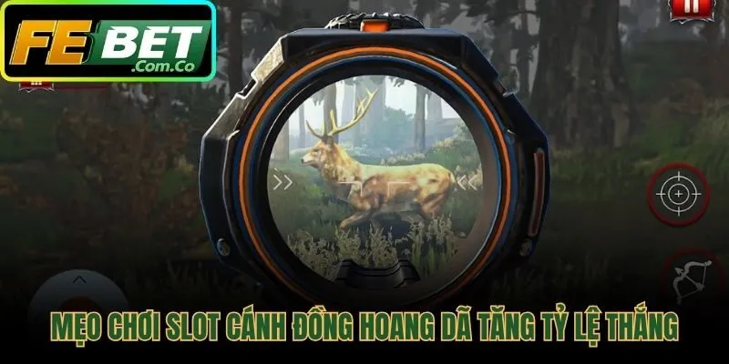 Mẹo chơi slot cánh đồng hoang dã tăng tỷ lệ thắng