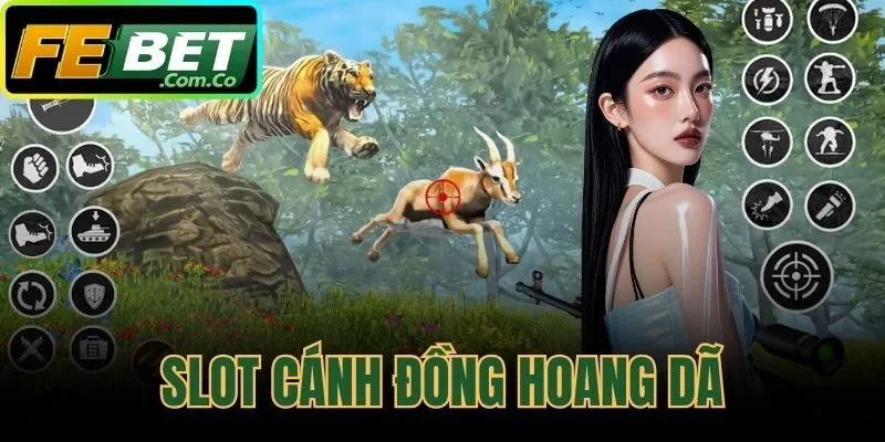 Slot Cánh Đồng Hoang Dã