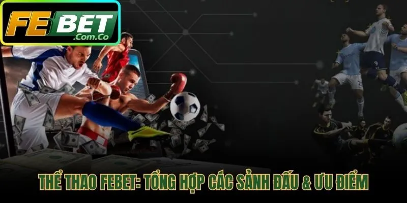 Các sảnh thể thao FEBET và ưu điểm kèo sớm độc quyền