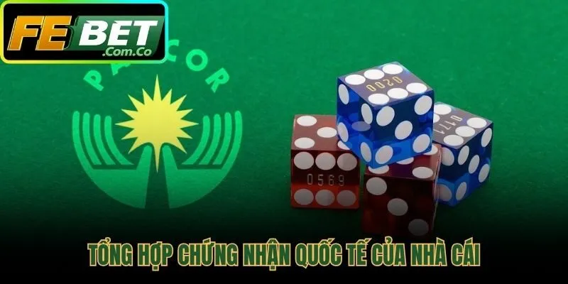 Giấy phép hoạt động quốc tế nền tảng uy tín thương hiệu